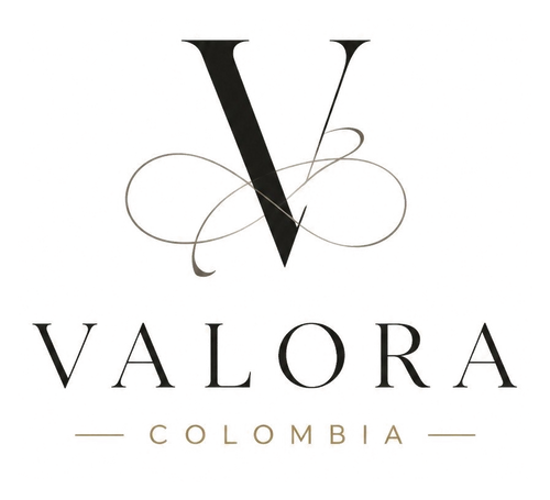 Vibe Store